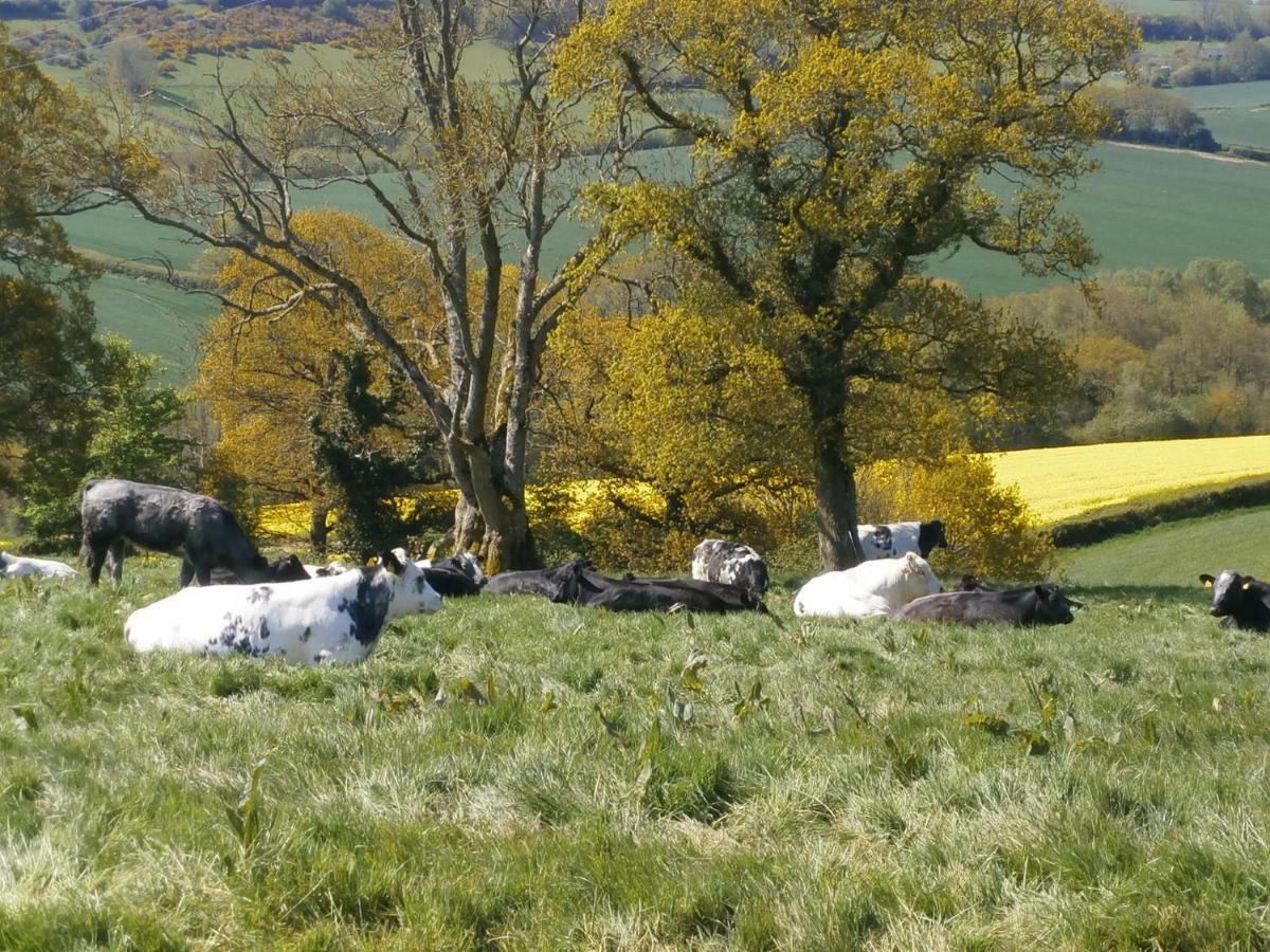 Harepath Farm 1 Holiday home Exeter
