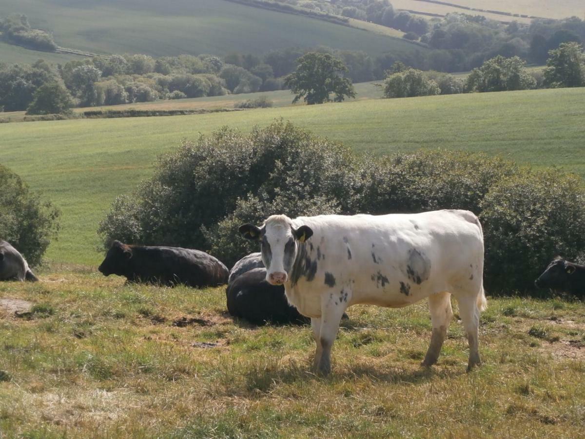 Holiday home Harepath Farm 1 Exeter